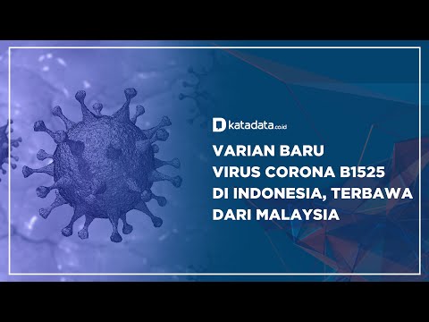 Varian Baru Virus Corona B1525 di Indonesia, Terbawa Dari Malaysia | Katadata Indonesia