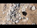 Sleeping Bear Dunes Trivia