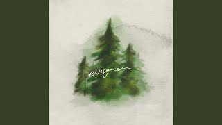 Evergreen (Preview)