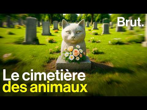 Dans le "Père Lachaise des animaux", le cimetière animalier pour chats, chiens, tortues, chevaux…