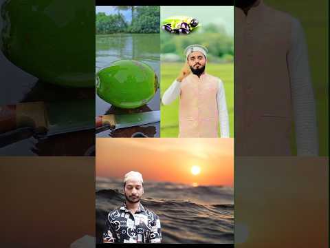আম মিষ্টি জাম মিষ্টি তেতুল বড় টক তোমার সাথে প্রেম করিতে আমার ভরসা এই গানটা না #new  #islamicvideo