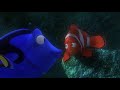 Understanding the Video Transcript