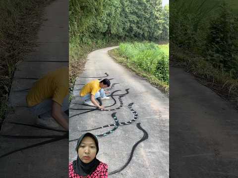 Gambar ular‼️ #trendingvideo #trendingshorts #trending #shorts #shortsviral #viralshorts #fyp #short