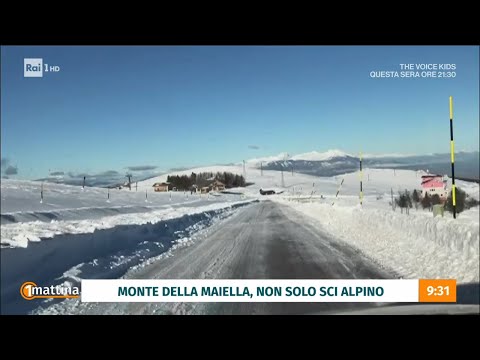 W la montagna - Unomattina - 08/12/2023