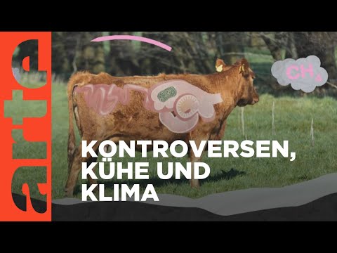 Unser Vieh: Klimakiller oder Klimaschützer? | Roots (3/5) |  Doku HD Reupload | ARTE