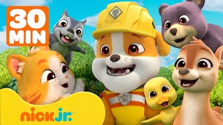 Rubble resgata animais fofinhos em Builder Cove! | 30 minutos | Nick Jr. em Português