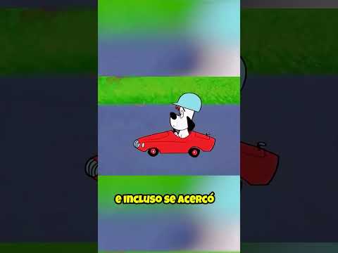 IncreÃble Carrera De Dos Perros! 🤯