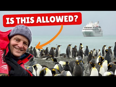 Wish I’d Known These 4 Things Before My Antarctic Cruise