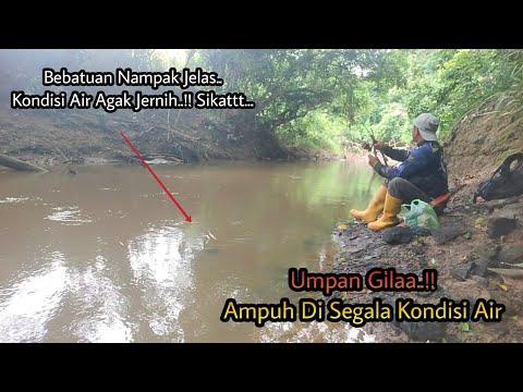 Umpan Gilaa,,!! Umpan mu Tak Seganas Umpanku,,Khusus Ikan Baung,Baru Lempar Umpan Langsung Yuttt..