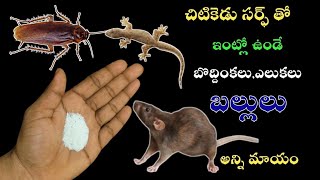 👉చిటికెడు సర్ఫ్ తో ఇంట్లో ఉండే బల్లులు బొద్దింకలు ఎలుకలు అన్నీ కూడా నిమిషంలో బయటకు పరుగులు తీస్తాయి