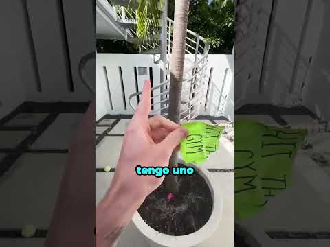 AYUDAME a elegir solo una opción