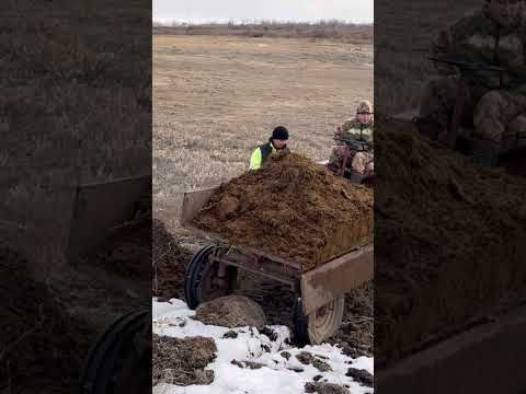 Суровая правда жизни.