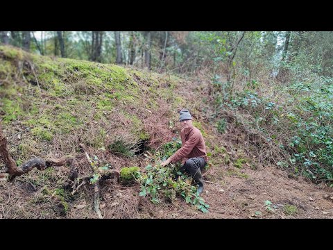 Building Hidden Underground Shelter - Deep bank Survival camouflaged shelter