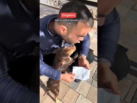 Trovato cane abbandonato a Napoli