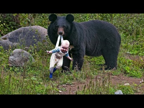 El oso se niega a dejar ir a su bebé - El guardabosques rompe a llorar cuando descubre el motivo