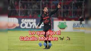 LA HISTORIA DEL CABALLO MORALES 🐎33🏆🥹 EJEMPLO DE PERSEVERANCIA Y HUMILDAD 👹
