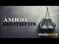 Antonio and Felix Boxing Match