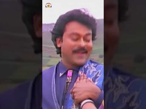 Chiranjeevi | Raja Vikramarka Telugu Movie | Elelo Elelo Song | #AmalaAkkineniSongs | #YouTubeShorts