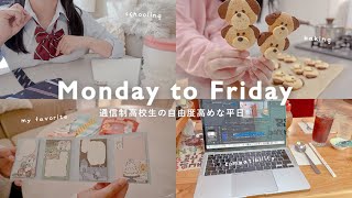 通信制高校生の月曜から金曜までのストレスフリーな日常生活🐣🦉🐰🐢