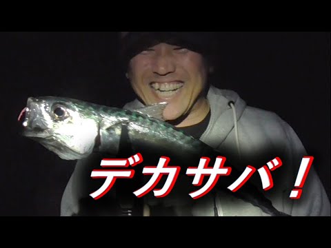 福島「小名浜港」が絶好調と聞いたので釣りに行ってみた！　2025年５月