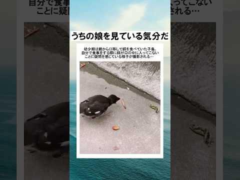 ゆ鳥世代
