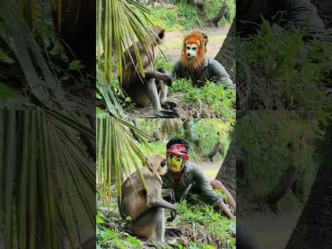 Hanuman