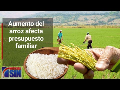 EmisiónEstelarSIN: Aumento, combustible y pollo