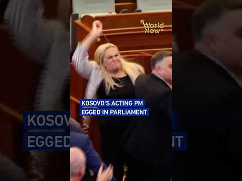 Kosovo's acting PM egged in parliament #worldnow