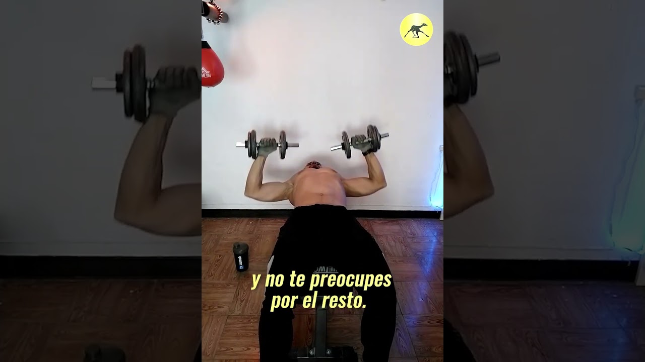 Mejores Ejercicios Para Bíceps Rutina Bíceps Gym ⭐ 5419