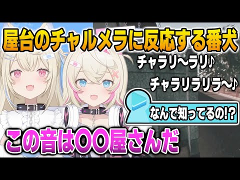 屋台のチャルメラに反応するJPなフワモコ【英語解説】【日英両字幕】