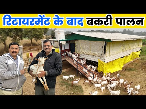 दो मित्र ने बनाया 100 बकरी का दो तल्ला फॉर्म | 100 Goat farm लागत, कमाई ?