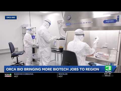 Orca Bio bringing more biotech jobs to Sacramento