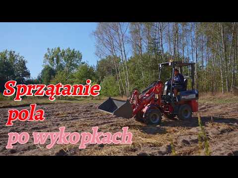 Andrzej z Plutycz zbiera ziele po wykopkach Rolnicy z Podlasia Kingway 906 4x4 Farmer Mini ładowarka