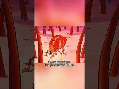 Do you know there is a flea in Bikini Bottom?#movie #spongebob #funny