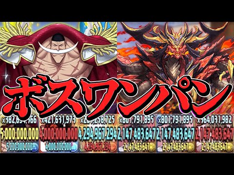 白ひげの火力が最強すぎる！実質HP2兆ワンパン！環境火力リーダー誕生し過ぎだろ！未知の新星【パズドラ】