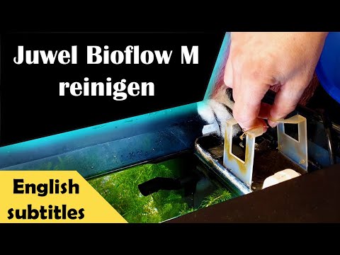 Juwel Bioflow M reinigen (169)