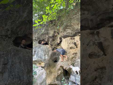 The Child Stuck in the Cave is Rescued by the Dog. #pet #dog #lovedog