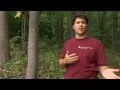 Impact of Non-Native Species on Forests