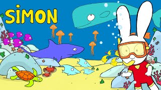 🐢🌊 Simon découvre les animaux de la mer ! 🐳🐬 Simon | Compilation | Dessin animé pour enfants