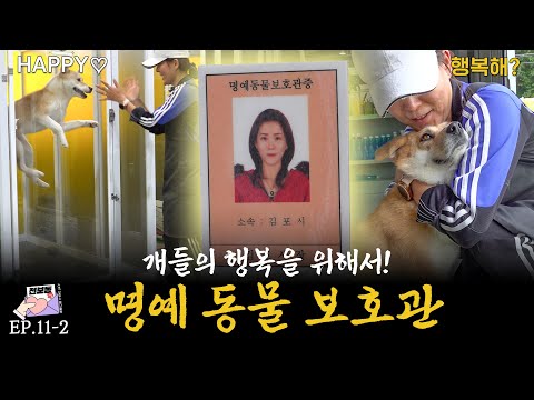 구조를 위해 명예 동물 보호관 자격증까지 취득한 열혈 소장님 등장 Passionate director who got a license to save abused dogs