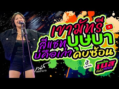 ฮิตล่าสุด💢เขามัทรี+บุษบา+คบซ้อน+สีแชทบ่คือเก่า | 💥เนส  พรอำนาจ คอนเสิร์ต แสดงสด