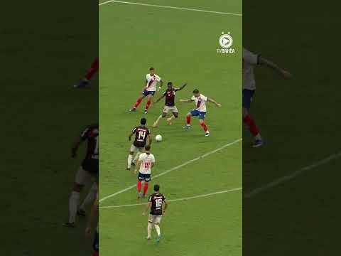 image para ilustrar o artigo