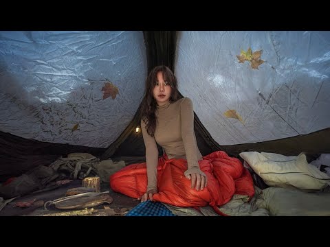 🍁투명창텐트안에서 가을 느끼며 솔로캠핑 / 🔥콩나물제육볶음+생탁막걸리/ 화목난로 새우&조개구이 / 맥반석불구이+오이고추겉절이 /고령여행