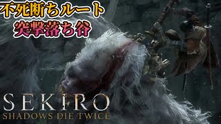 【不死断ちルート】4週目を往くオネエのSEKIRO【part7】