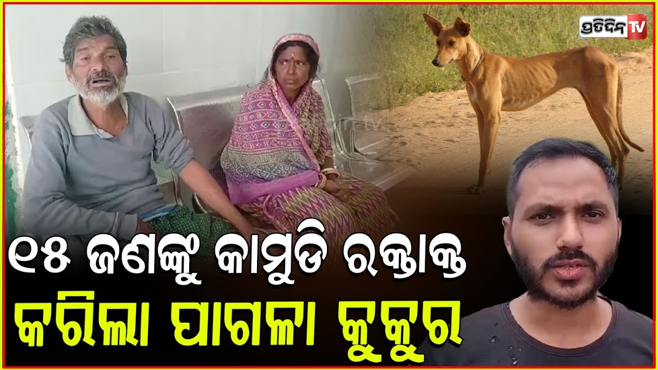 ଗୋଟିଏ ପାଗଳ କୁକୁର ବାଗୁଡ଼ି ବଜାର ରେ ୧୫ ଜଣଙ୍କୁ କଲାଣି ଲହୁ ଲୁହାଣ! Mad dog attack in Balasore.