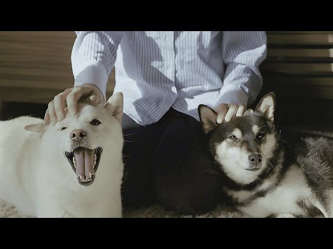 新しく家族が増えます。