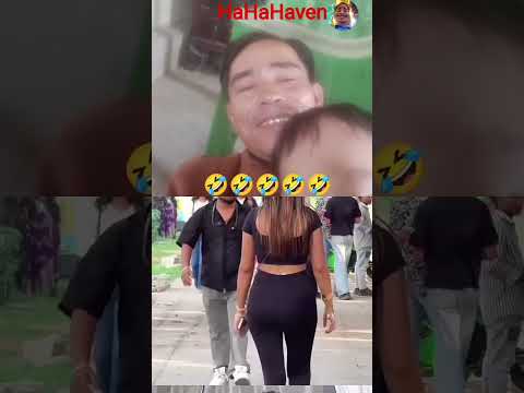 fun entertainment every day