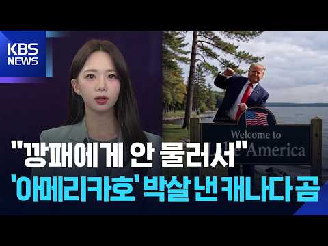 [W 언박싱] “깡패에게 안 물러서”…‘​아메리카호’ 박살 낸 캐나다 곰 / KBS  2026.08.31.
