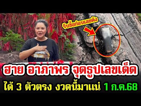 เลขเด็ด ฮาย อาภาพร จุดธูปขอหวย 3 ตัวตรง งวดนี้มาแน่ ห้ามพลาด งวด 1 ก.ค.68