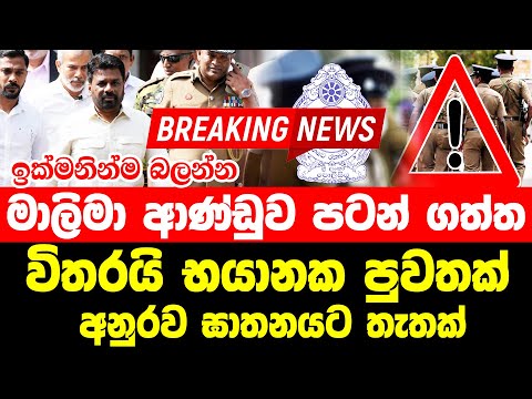 Today Hiru Sinhala News |  sri lanka Here is another special news | Hiru Breaking News hiru s